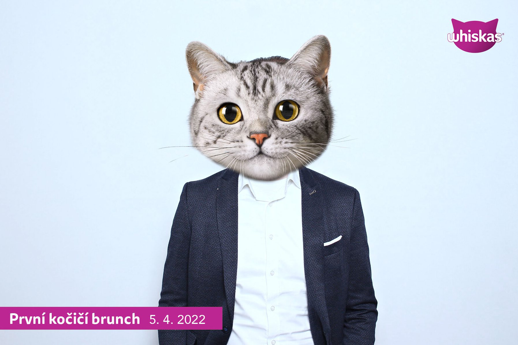 fotokoutek-konference-praha-whiskas-prvni-kocici-brunch-5-4-2022-763833